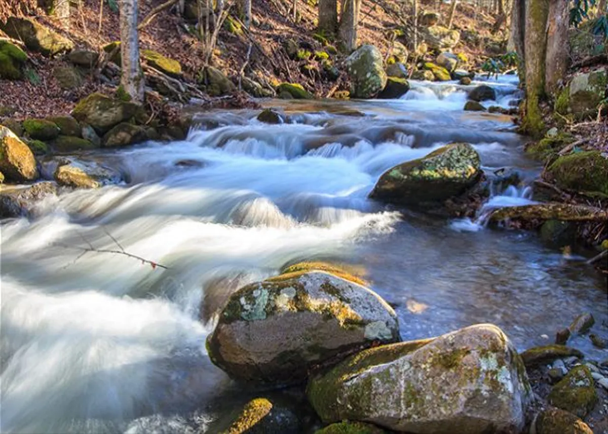 A peaceful outdoor scene captures a flowing creek winding through smooth rocks and lush trees. The image evokes the calming sounds and sights of nature, perfectly illustrating the cabin's proximity to water and the serene setting described in the narrative.